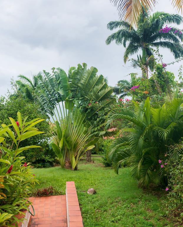 Royal Palm Holiday Apartment Mero ภายนอก รูปภาพ